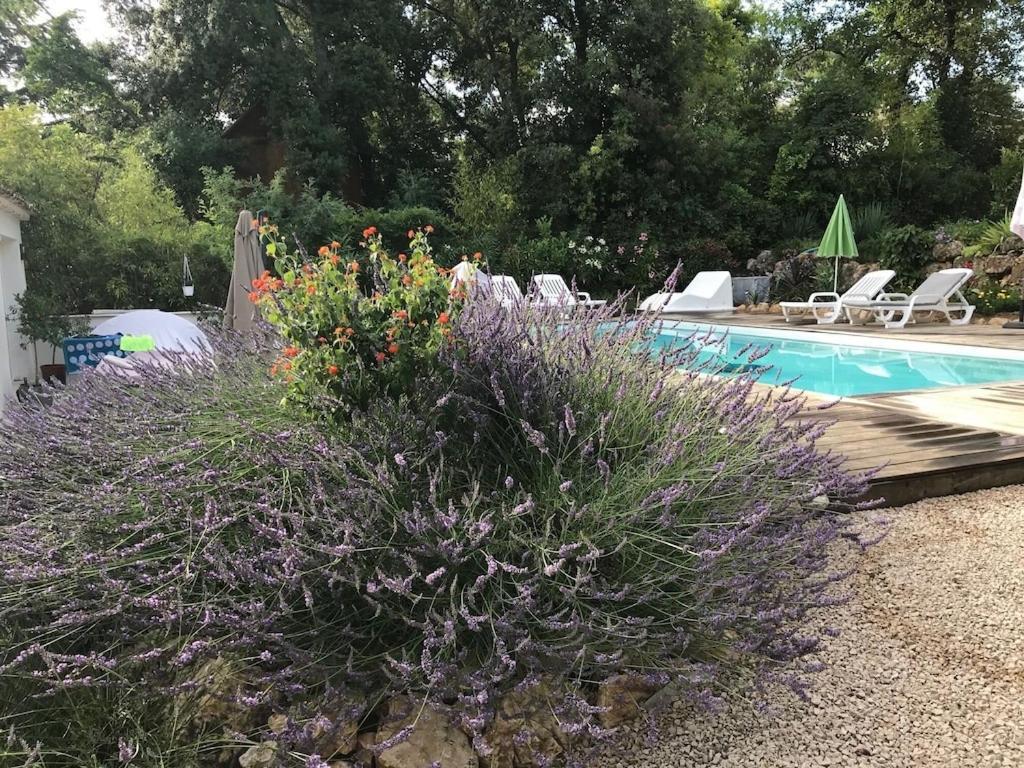 Villa Oha Close Cannes,Nice, Valbonne , Opio Roquefort Les Pins Exteriér fotografie
