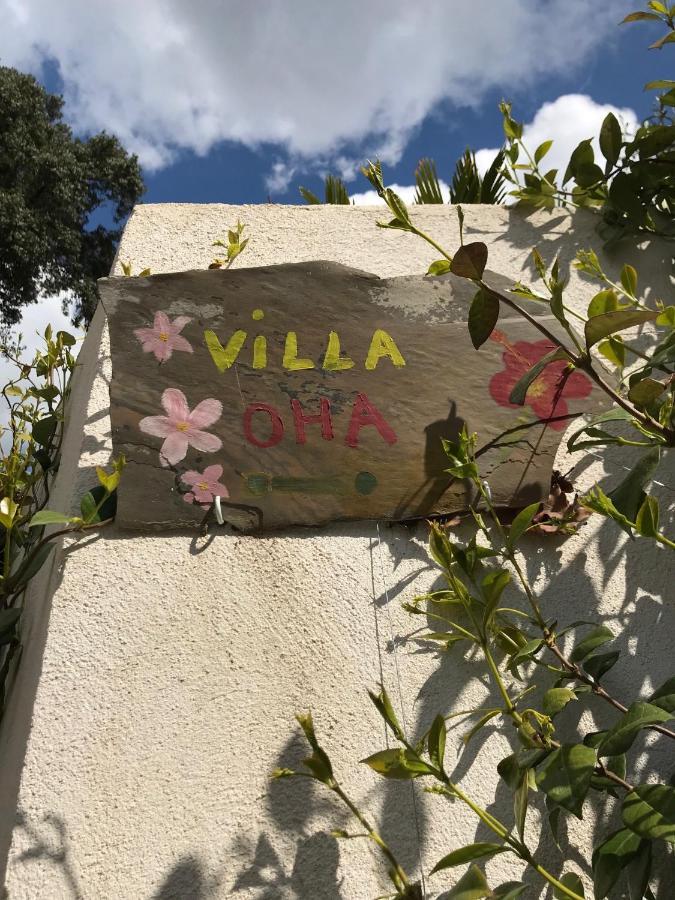 Villa Oha Close Cannes,Nice, Valbonne , Opio Roquefort Les Pins Exteriér fotografie